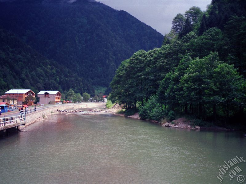 Trabzon Uzungl Yaylas`ndan bir manzara.
