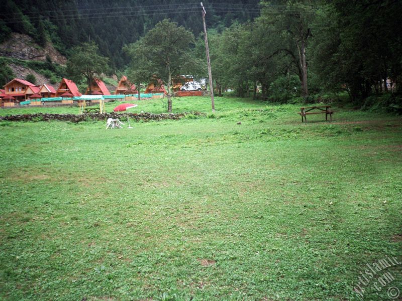 Trabzon Uzungl Yaylas`ndan bir manzara.
