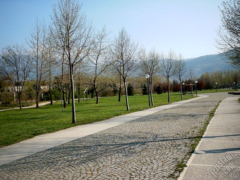 Bursa Botanik Parkndan bir manzara.
