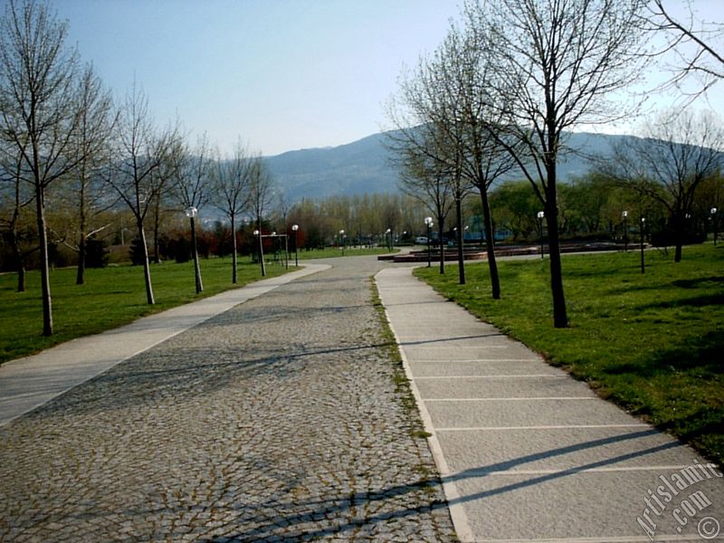 Bursa Botanik Parkndan bir manzara.
