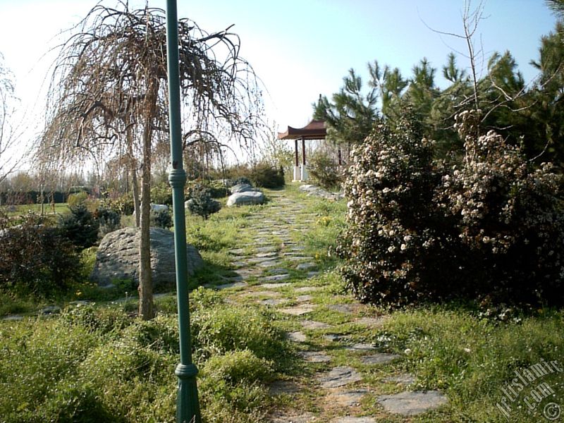 Bursa Botanik Parkndan bir manzara.
