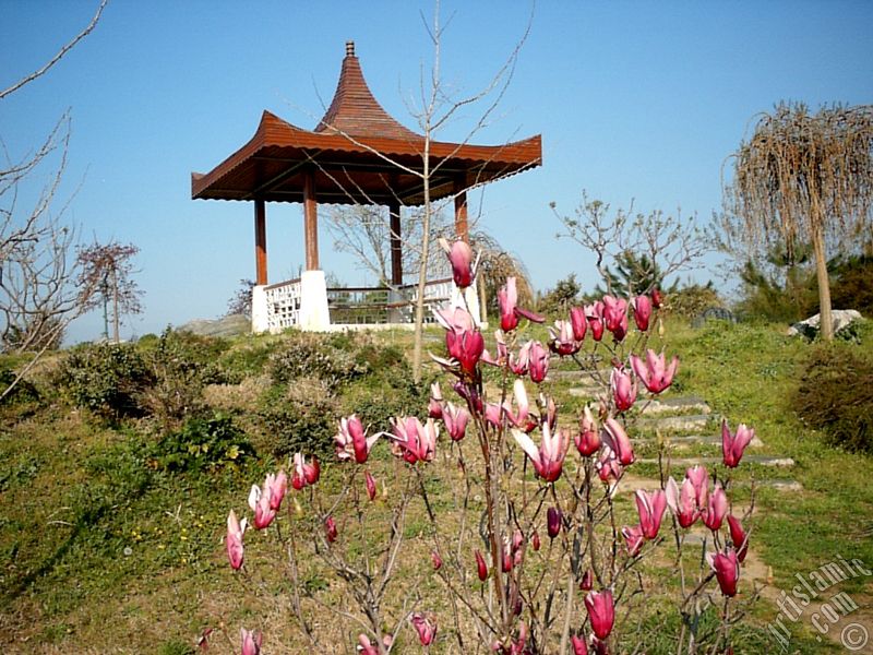 Bursa Botanik Parkndan bir manzara.
