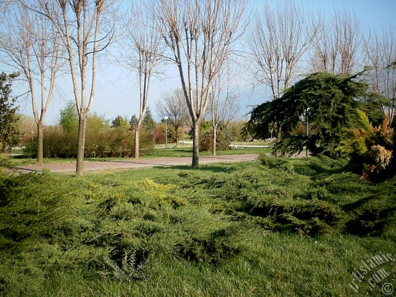 Bursa Botanik Parkndan bir manzara.
