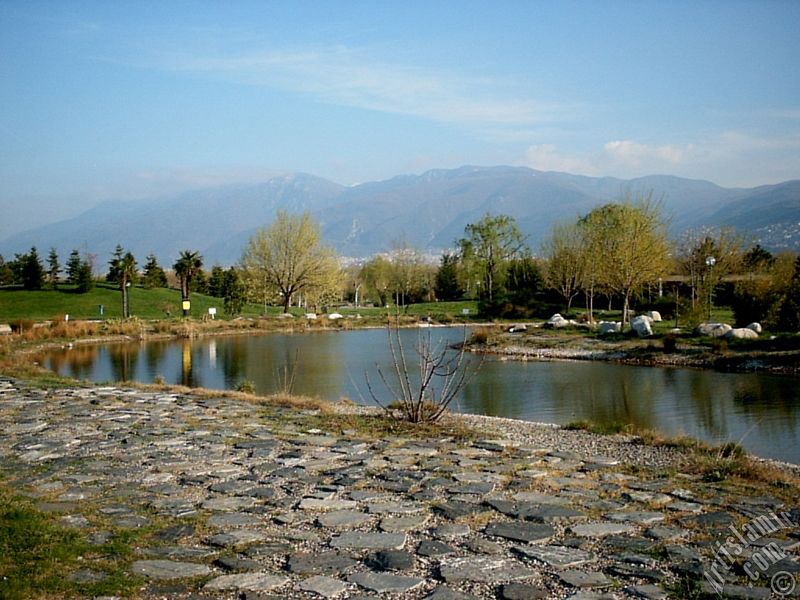 Bursa Botanik Parkndan bir manzara.
