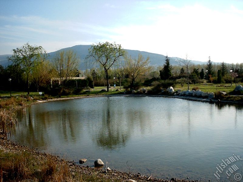 Bursa Botanik Parkndan bir manzara.
