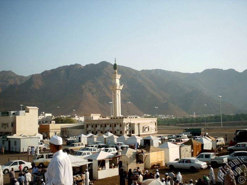 Medine`de Uhud Dalar ve Uhud Savann yapld alan.
