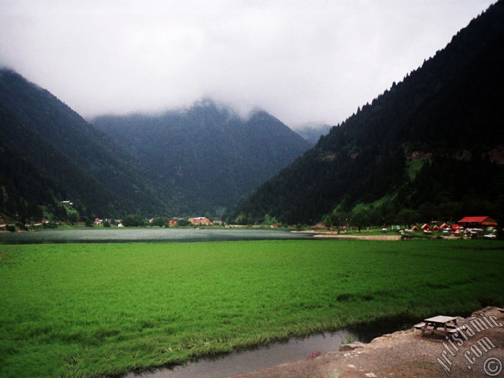 Trabzon Uzungl Yaylas`ndan bir manzara.
