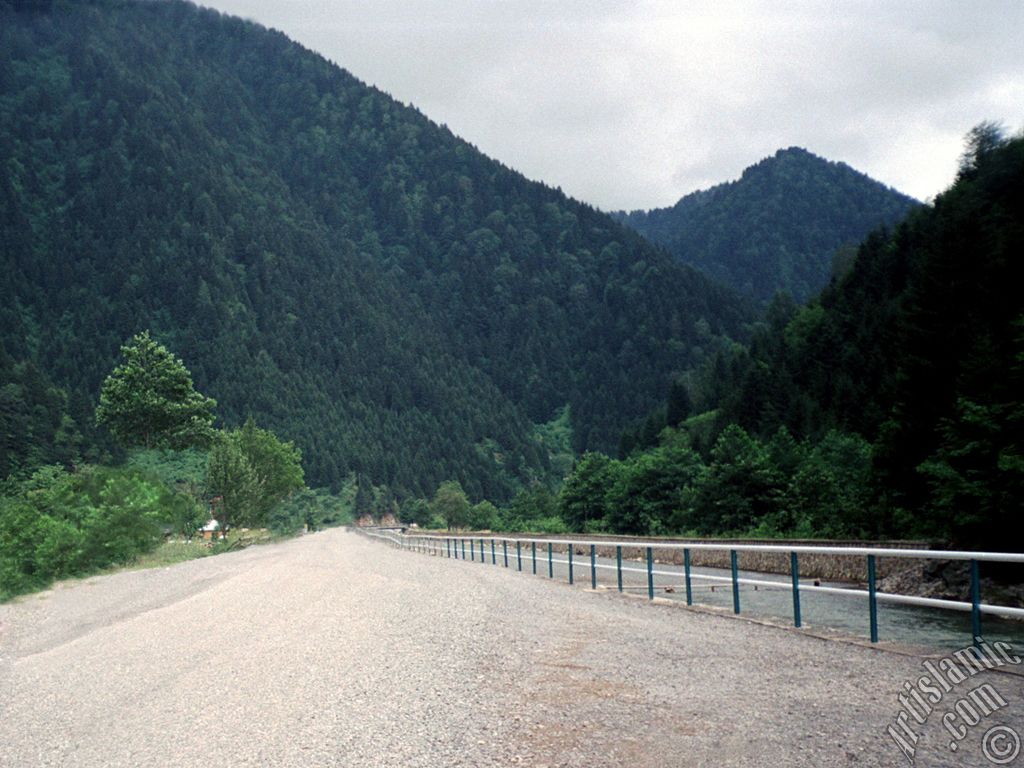 Trabzon Uzungl Yaylas`ndan bir manzara.
