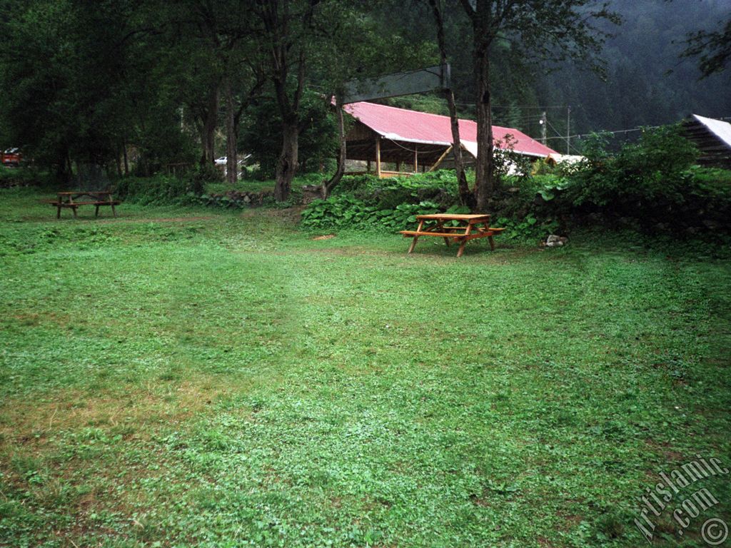 Trabzon Uzungl Yaylas`ndan bir manzara.
