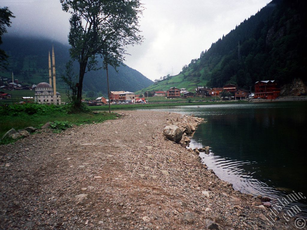 Trabzon Uzungl Yaylas`ndan bir manzara.
