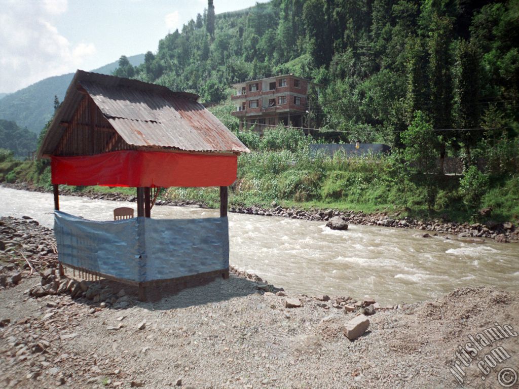 Rize-Ayder Kaplcas yolundan bir manzara.
