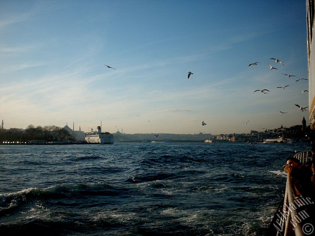 Sarayburnu aklarndan Beyazt Kulesi (solda), Sleymaniye, Fatih, Yavuz Sultan Selim Camileri, Galata Kulesi, vapura elik eden martlar ve vapurdan bakarken hayallere dalm bir ocuk.
