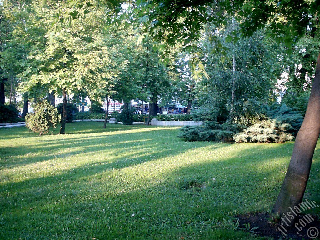 Yalova ilimizden bir g�r�nt�.
