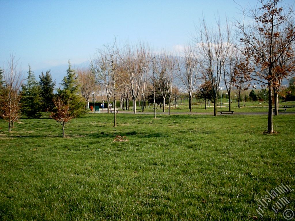 Bursa Botanik Parkndan bir manzara.
