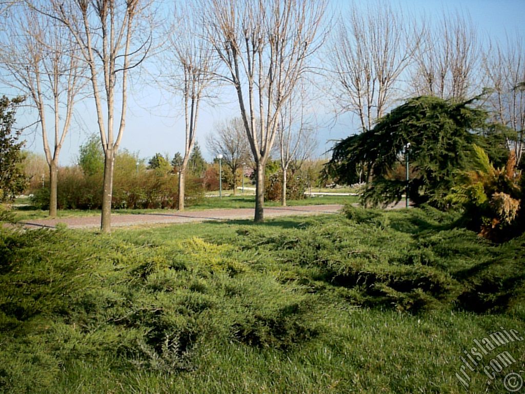 Bursa Botanik Parkndan bir manzara.
