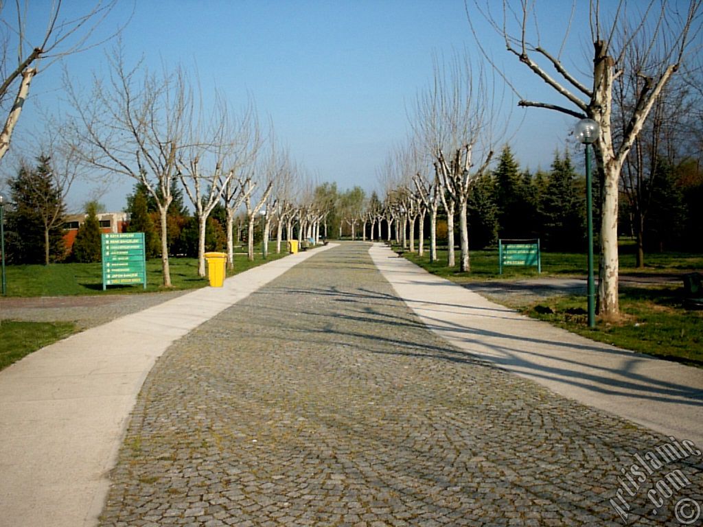 Bursa Botanik Parkndan bir manzara.
